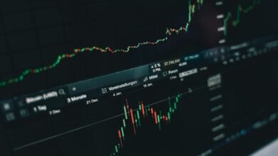 sucundencia market performance insights